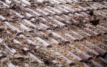 Wales roof cleaning companies