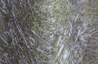 Wales fibreglass roof work